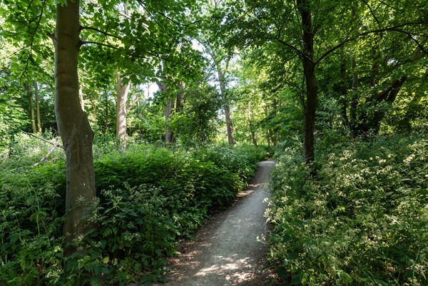 Medium property photo - Bataviastraat 79A, 1095 ER Amsterdam